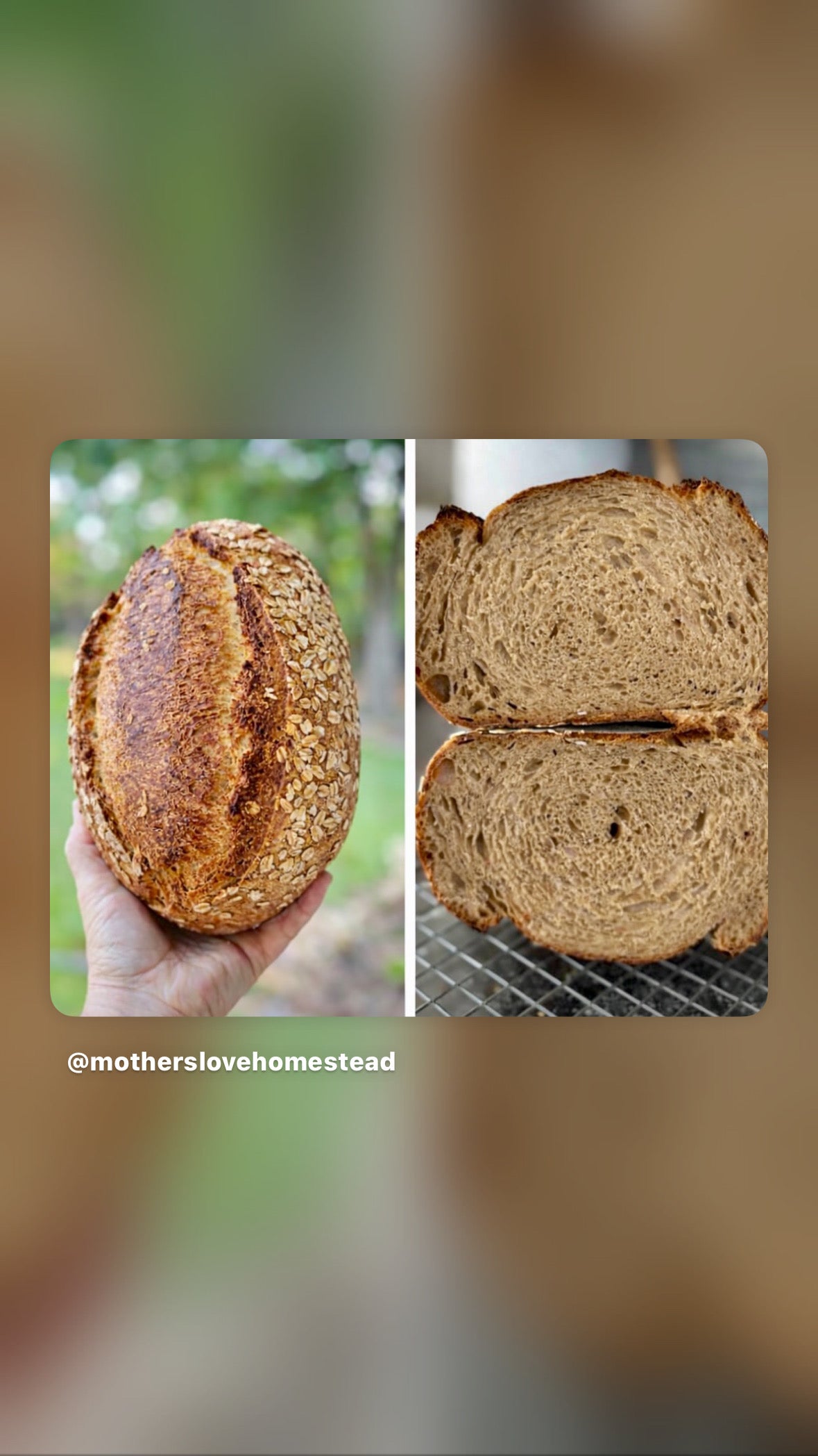 Micro Bakery (local pickup only)