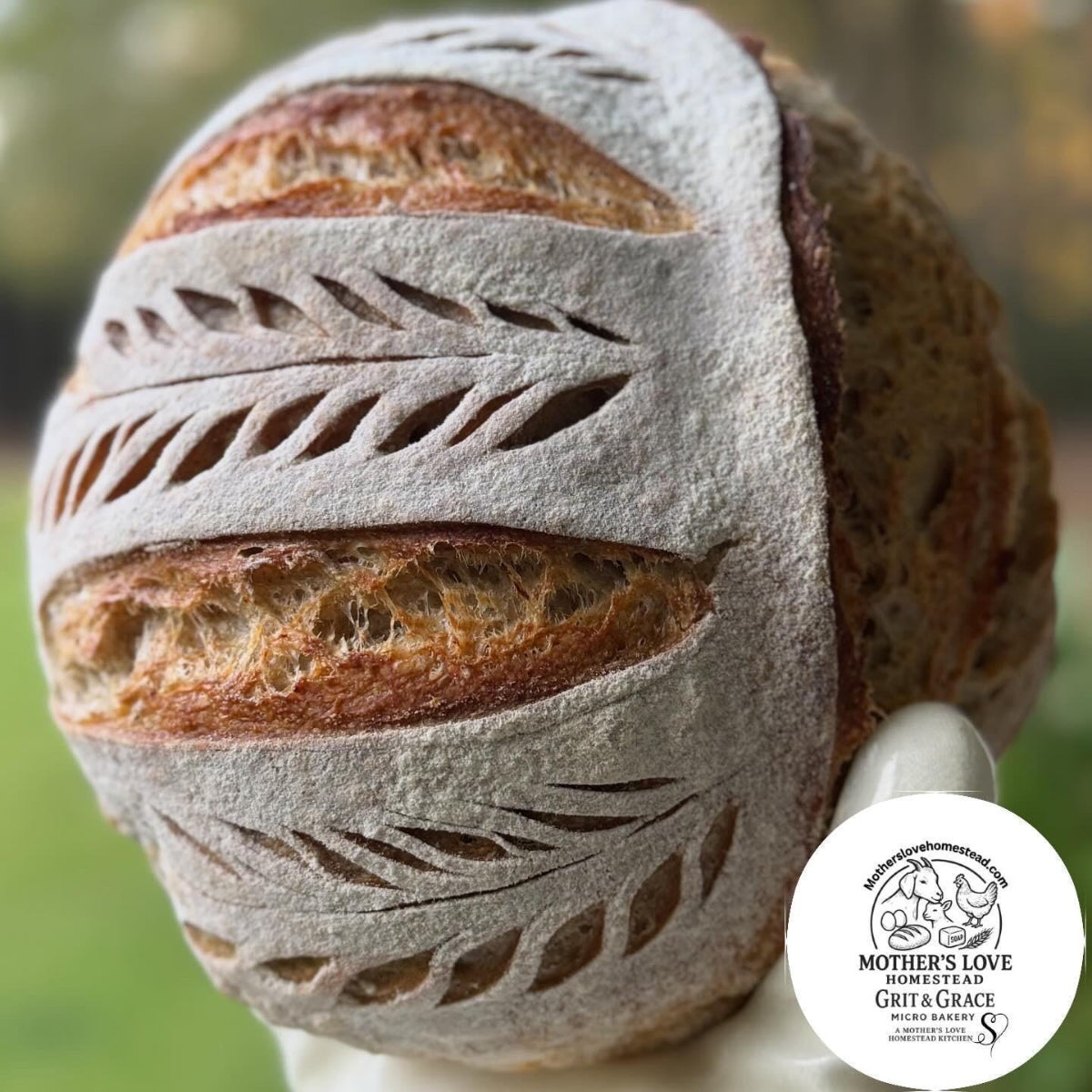 Beloved "Myrtle" Dehydrated Sourdough Starter    Live Wild Yeast Culture
