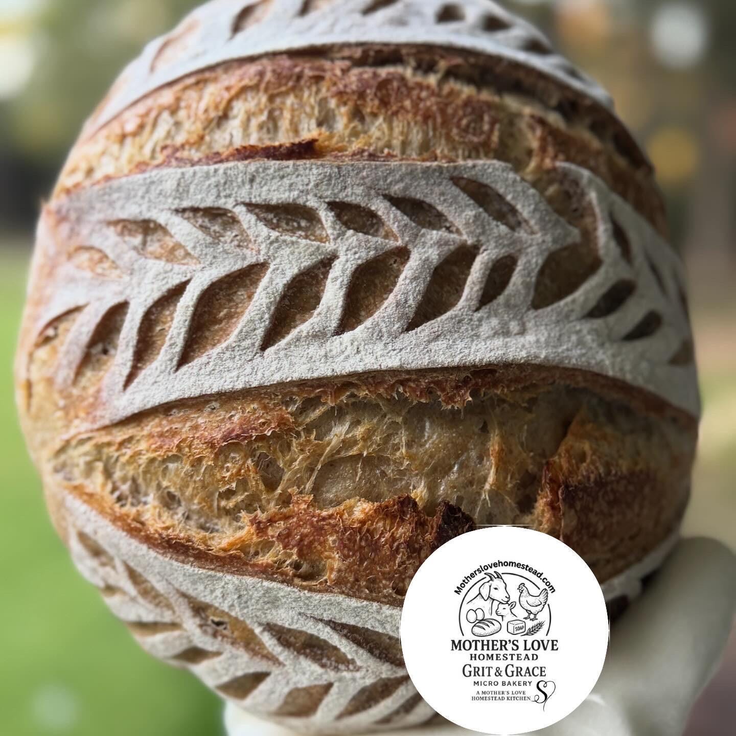 Beloved "Myrtle" Dehydrated Sourdough Starter    Live Wild Yeast Culture