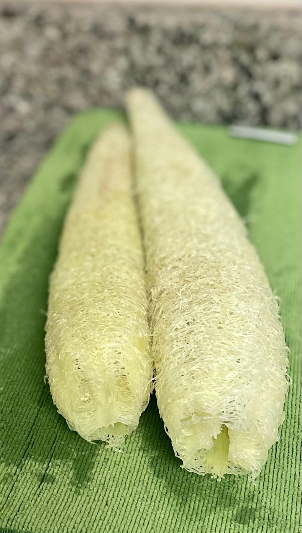 Guide to growing your Loofah