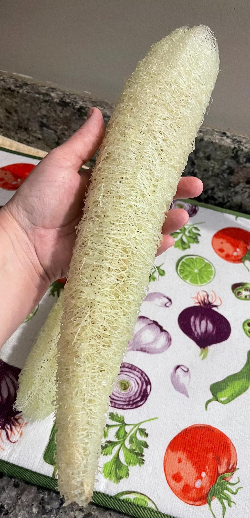 Guide to growing your Loofah