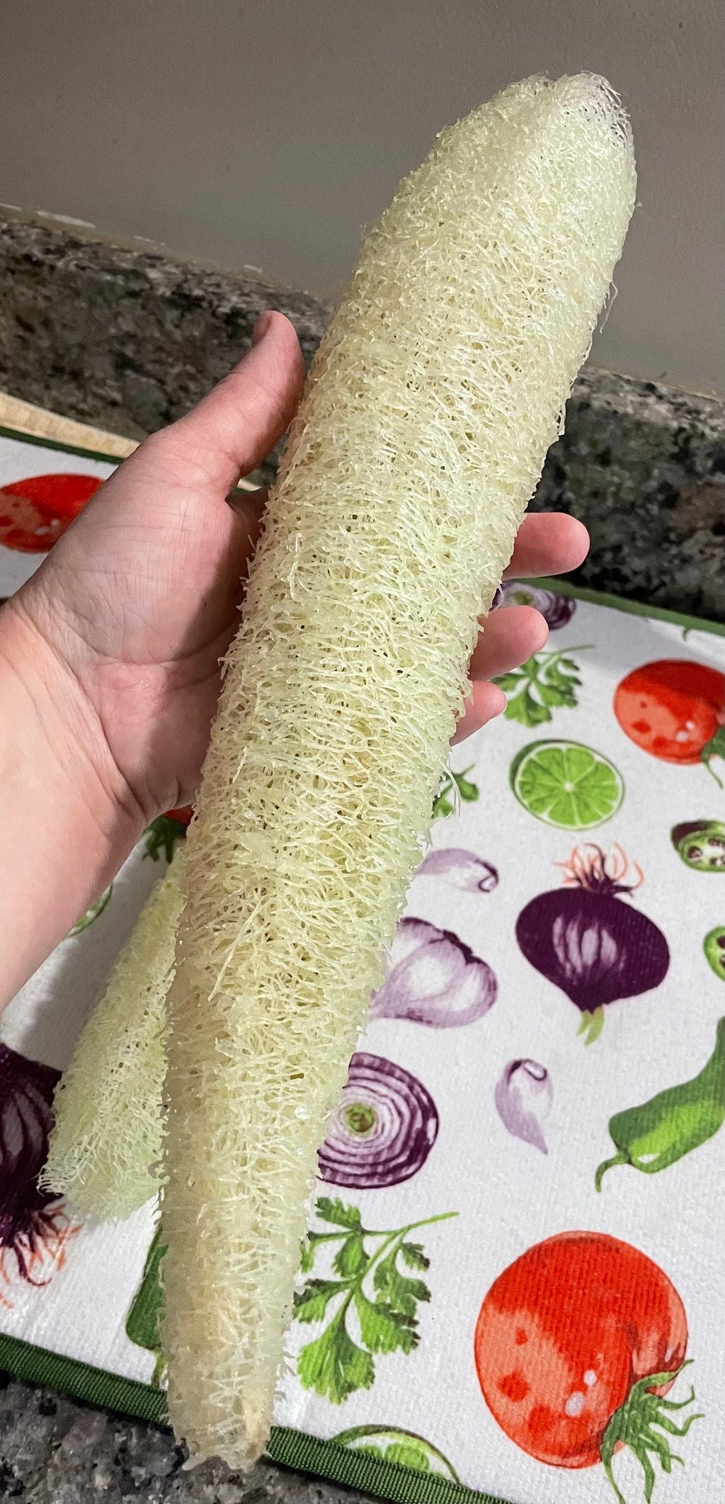 Loofah Gourd Seeds: Grow Your Own Natural Sponge & Edible Squash